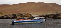 Peru Travel Advice - Cantelabra - World Expeditions